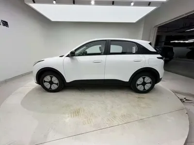 NETA Neta V
