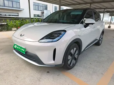Wuling 缤果S