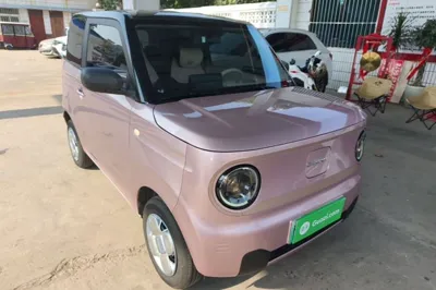 Geely Galaxy Panda