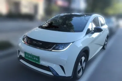 BYD Dolphin