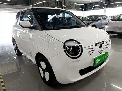 Qiyuan Lumin