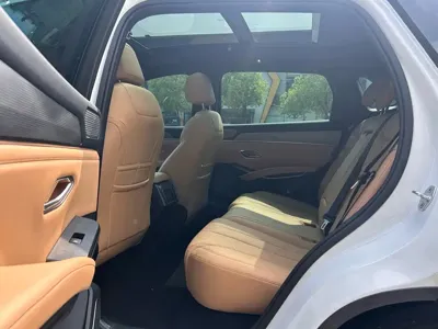 BYD L DM-i