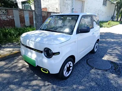 Galaxy Panda