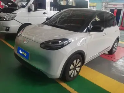 Wuling Bingo