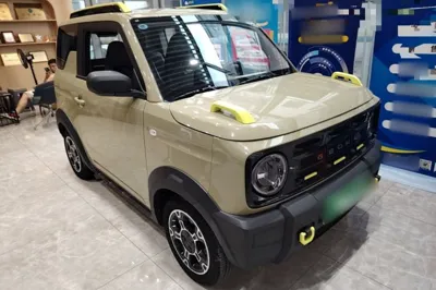 Geely Galaxy Panda