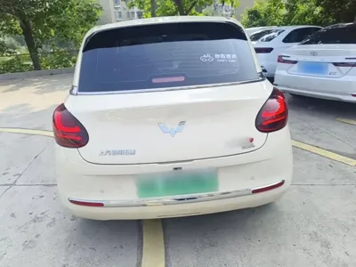 Wuling Bingo