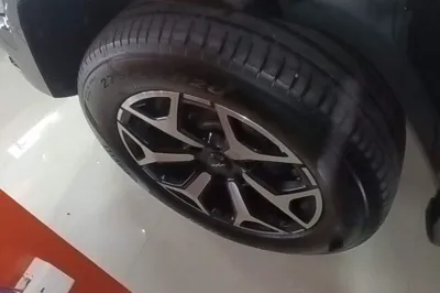 Formula Leopard Leopard 8