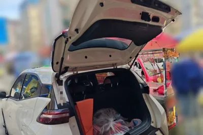 BYD Seagull