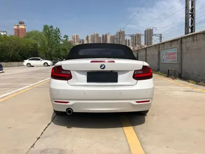 BMW 2 Series (Import)