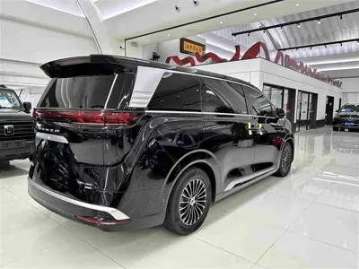 Denza Denza D9
