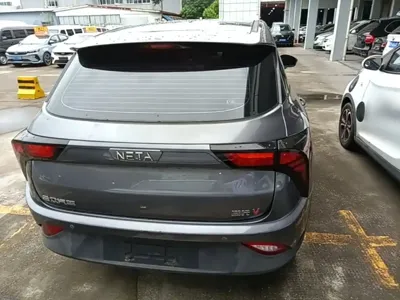 NETA Neta V