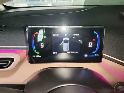 BYD Seagull