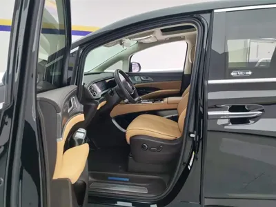 Denza Denza D9