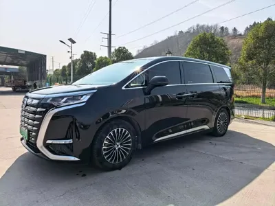 Denza Denza D9