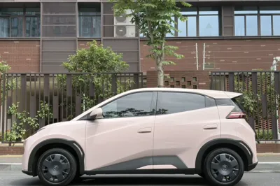 BYD Seagull