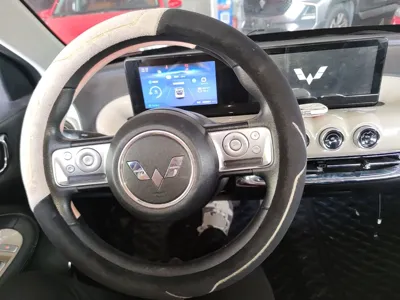 Wuling Bingo
