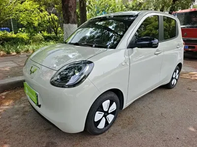 Wuling MINIEV