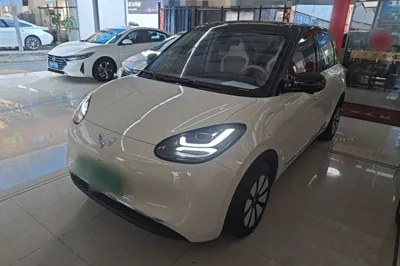 Wuling Bingo