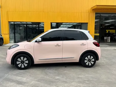 Wuling Bingo