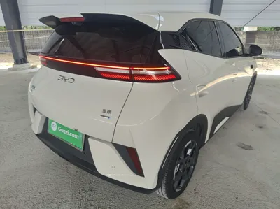 BYD Seagull