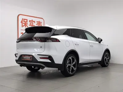 BYD Tang New Energy
