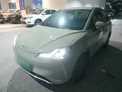 NETA Neta V