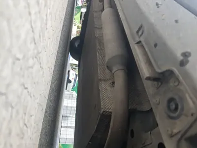 NETA Neta L