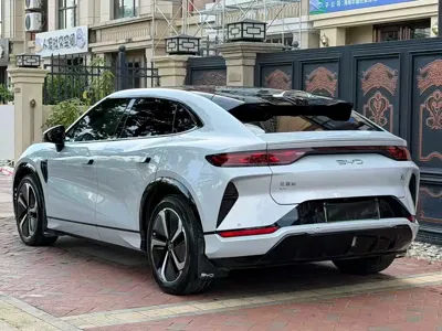 BYD L EV