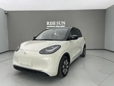 Wuling Bingo