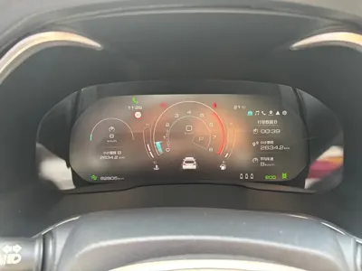WEY Wey VV6
