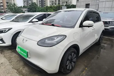 Wuling Bingo