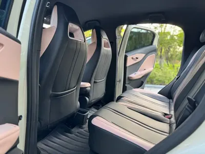 BYD Seagull
