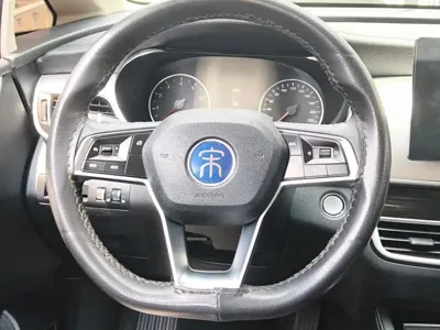 BYD MAX