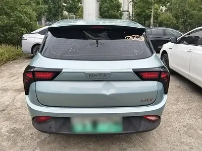 NETA Neta V