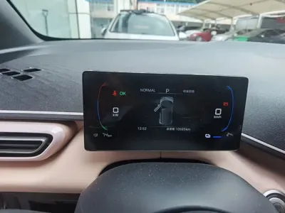 BYD Seagull