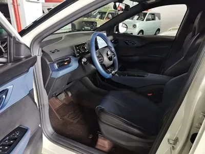 BYD Seagull