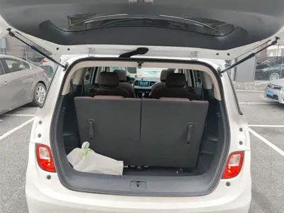 Buick GL6