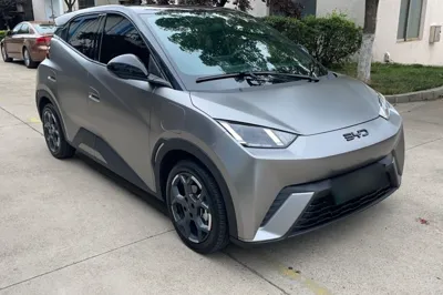 BYD Seagull