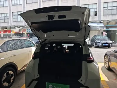 BYD Seagull