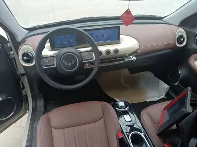 Wuling Bingo