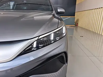 BYD Pro New Energy
