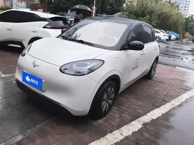 Wuling Bingo