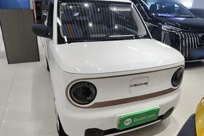 Geely Galaxy Panda