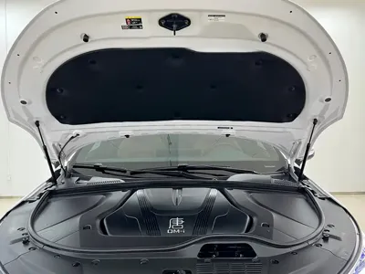 BYD Tang New Energy