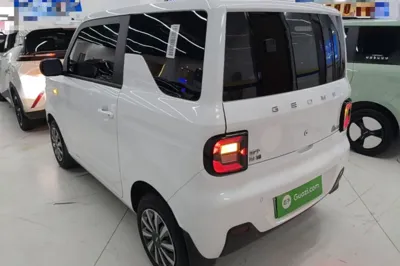 Geely Galaxy Panda