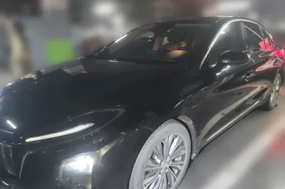 Hongqi E-QM5