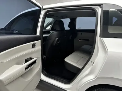 BYD D1