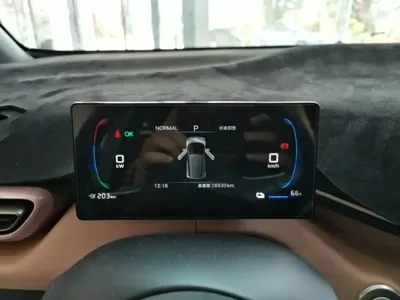 BYD Seagull