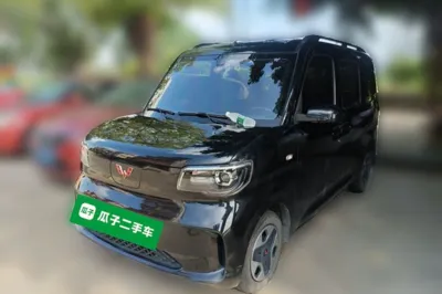 Wuling Zhiguang New Energy