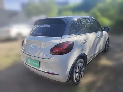 Wuling Bingo